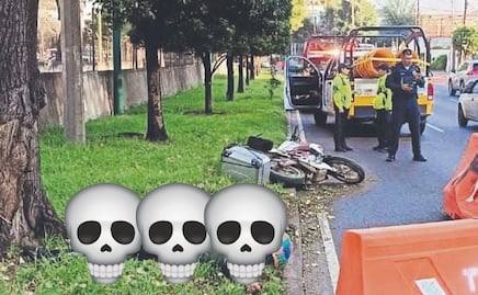 Biker no mide su velocidad y se "estaciona" en un árbol, perdió la vida