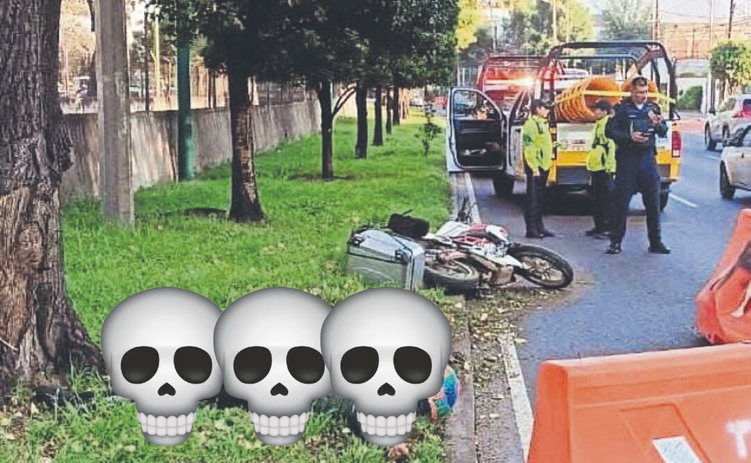 Biker no mide su velocidad y se "estaciona" en un árbol, perdió la vida
Imagen: Especial