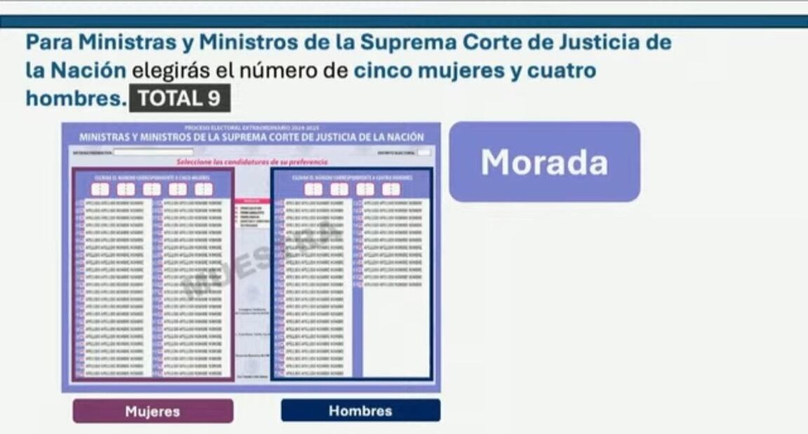 Boleta Morada (Foto: Sergio Trejo)