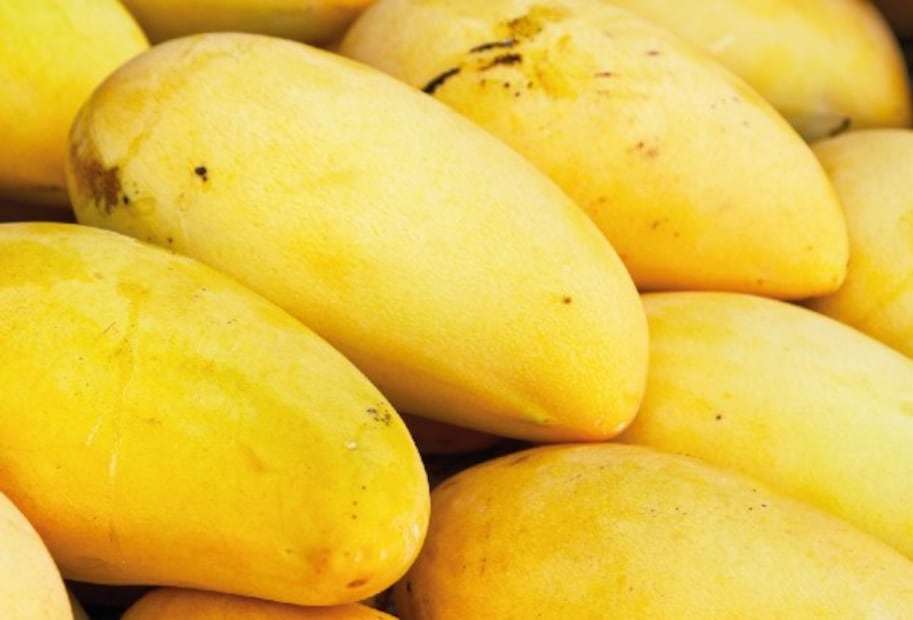 ¿Qué frutas y verduras conviene comprar en agosto? Esta es la lista de temporada. Foto: (Gob MX)