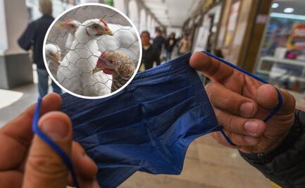 Alerta en Durango: reportan primer caso humano de influenza aviar H5N1 en México