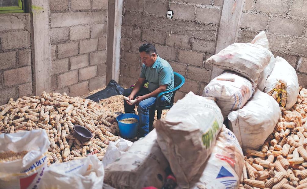 Foto: Salvador Cisneros (“La comunidad empeoró. Se están acabando los animales silvestres con la fumigación (...) El barranco está seco, no hay peces” mencionó Faustino D.)