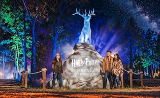 ¡La magia de Harry Potter invade Naucalli! Descubre el Bosque Prohibido de noche