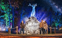 ¡La magia de Harry Potter invade Naucalli! Descubre el Bosque Prohibido de noche