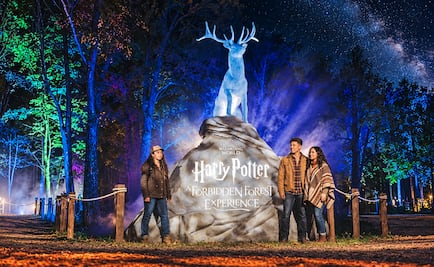 ¡La magia de Harry Potter invade Naucalli! Descubre el Bosque Prohibido de noche