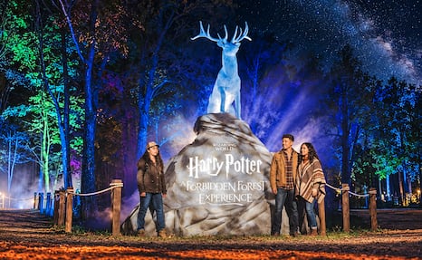 ¡La magia de Harry Potter invade Naucalli! Descubre el Bosque Prohibido de noche