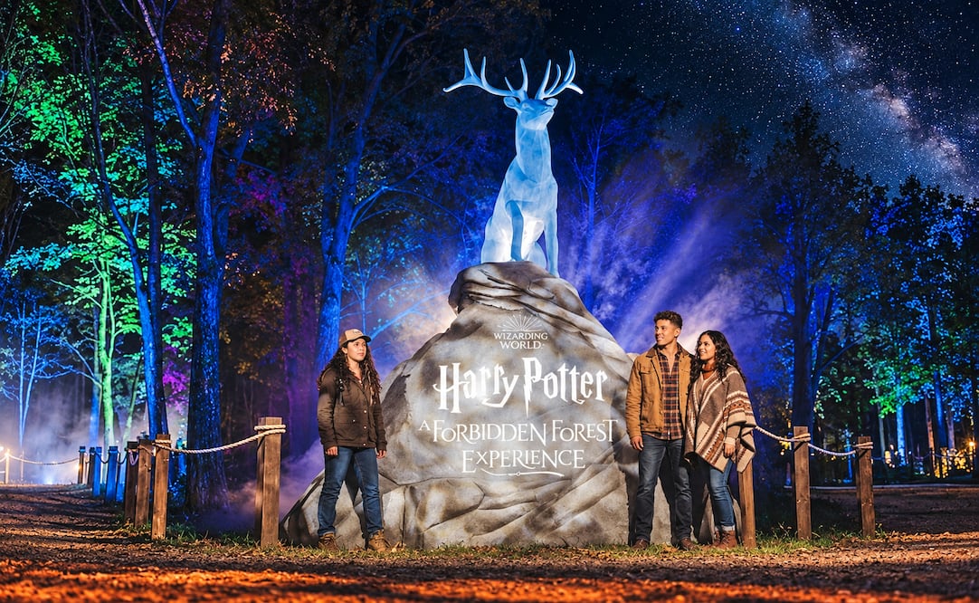 ¡La magia de Harry Potter invade Naucalli! Descubre el Bosque Prohibido de noche
Foto: Redes Sociales