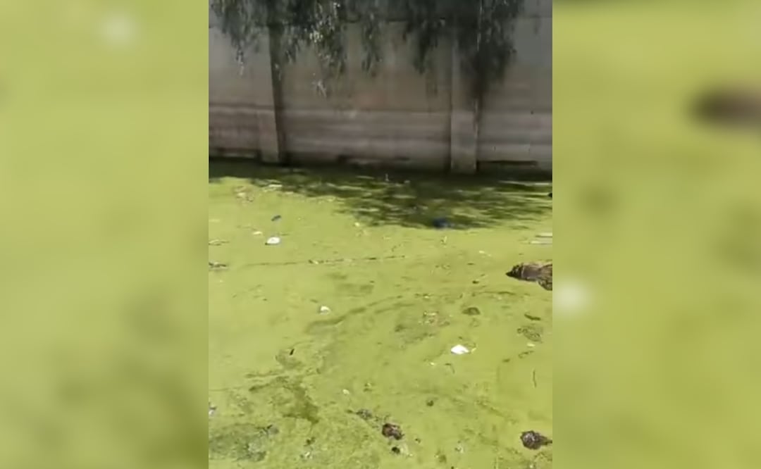 Planta abandonada en Cuautitlán Izcalli (Foto: Facebook)