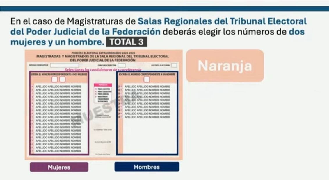 Boleta naranja (Foto: Sergio Trejo)