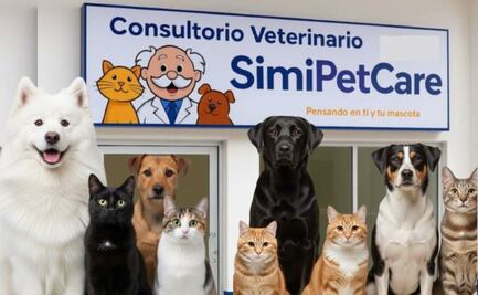 ¿Qué es SimiPet Care?: Farmacias Similares lanza consultorios veterinarios a bajo costo en México