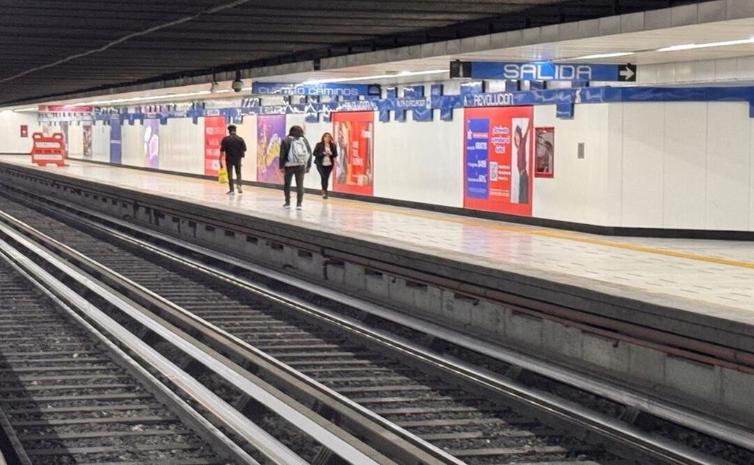 Usuarios del Metro CDMX se topan con tremendo animalón, así lo pudieron agarrar