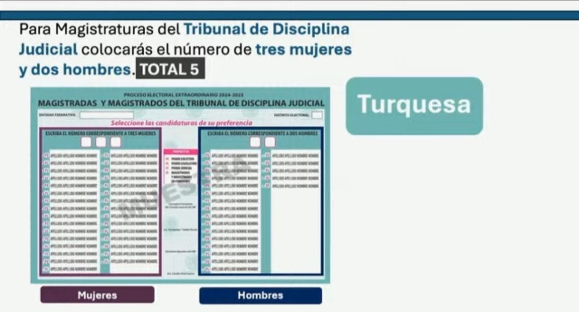 Boleta Turquesa (Foto: Sergio Trejo)