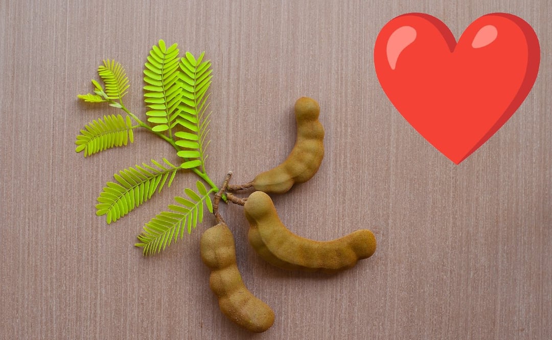 5 Beneficios del Tamarindo que no conocías: el tercero te ayudará más de lo que crees
Imagen: Pixabay