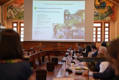 Consejo Universitario de Chapingo defiende su autonomía ante acusaciones políticas