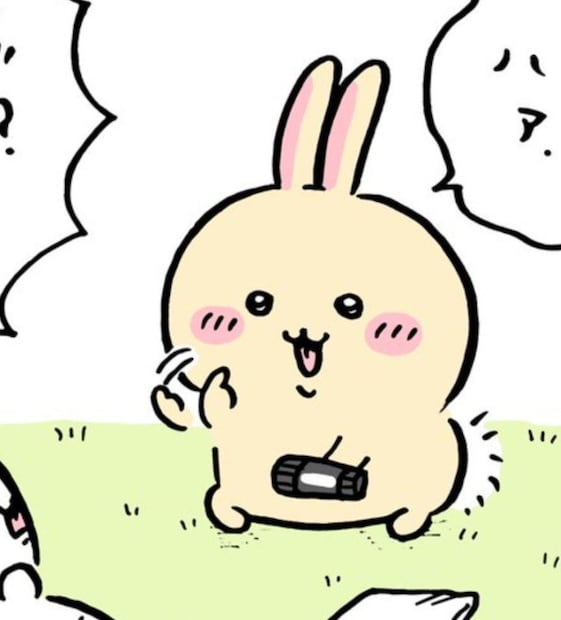Usagi (Foto: X)