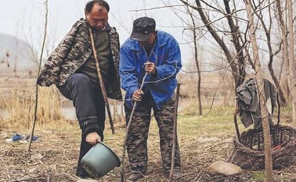 Invidente y manco se unen para plantar miles de árboles y llevan 10 mil ¿Cuántos plantarán? 