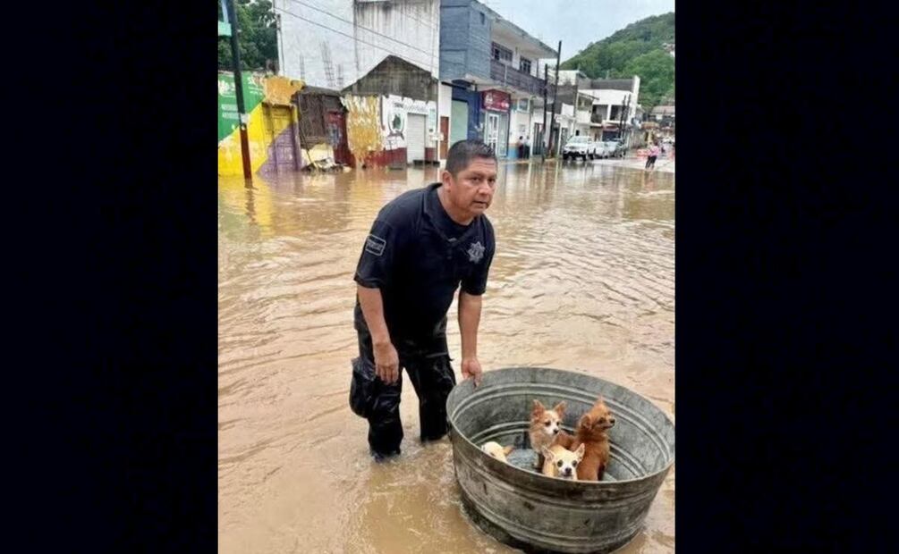 Video: Joven héroe rescata abuelitos y mascotas tras las inundaciones en Poza Rica