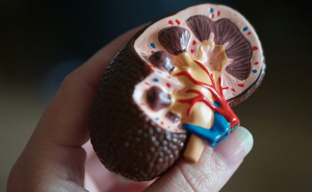  “Si tienes un tipo de sangre O y riñones sanos: Tienes algo que quiero”