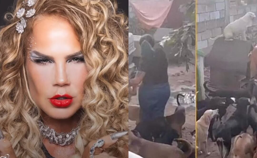 Niurka admite que se come a los perritos adoptados del albergue donde fue captada