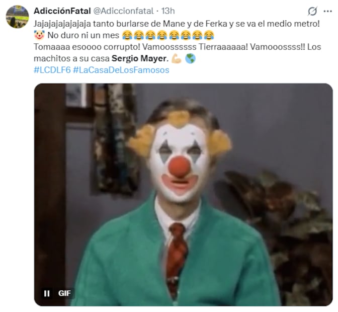 Memes de Sergio Mayer (Foto: X)