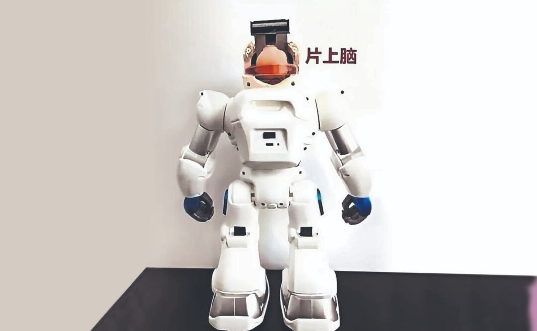 Chinos crean robot con cerebro humano ¿cómo es esto posible?