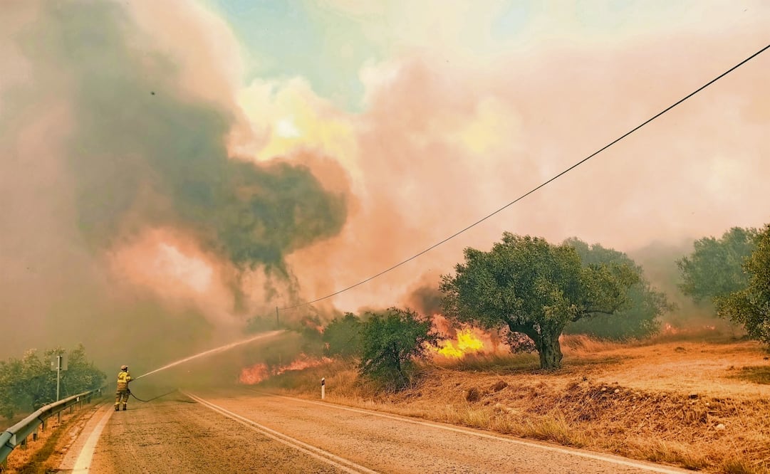 El fuego se declaró en una montaña cercana a Haidari, situado a 11 kilómetros del centro de la capital griega. Foto: Especial