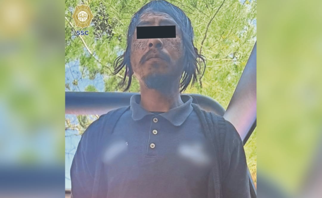 Terror en la Ruta 60: Apuñalan a joven dentro de camión en Tlalpan, murió frente a los pasajeros (Foto: Especial)