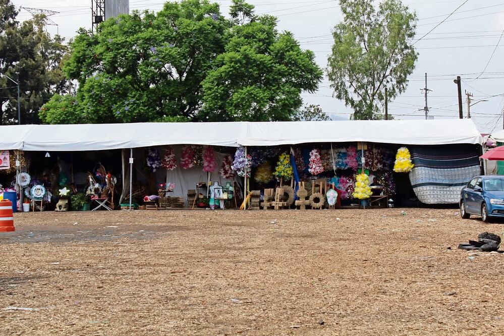 CEDA (Fernanda Zamora)