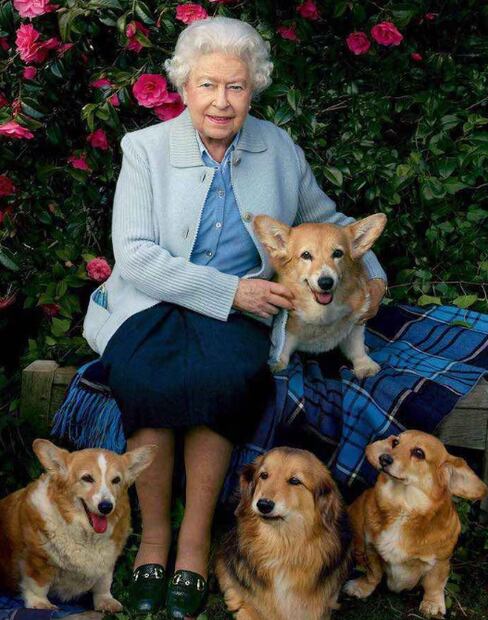 La Reina Isabel y sus perros (Foto: Instagram)