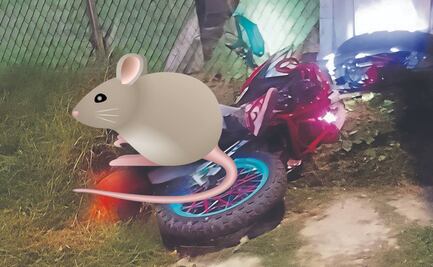 ¡Le salió caro el asalto! Biker se defiende a balazos y deja herida a la rata, en Chalco