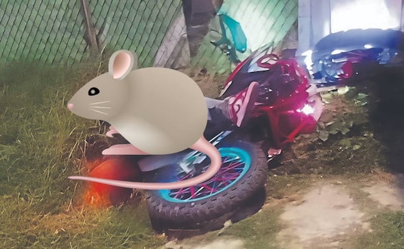 ¡Le salió caro el asalto! Biker se defiende a balazos y deja herida a la rata, en Chalco