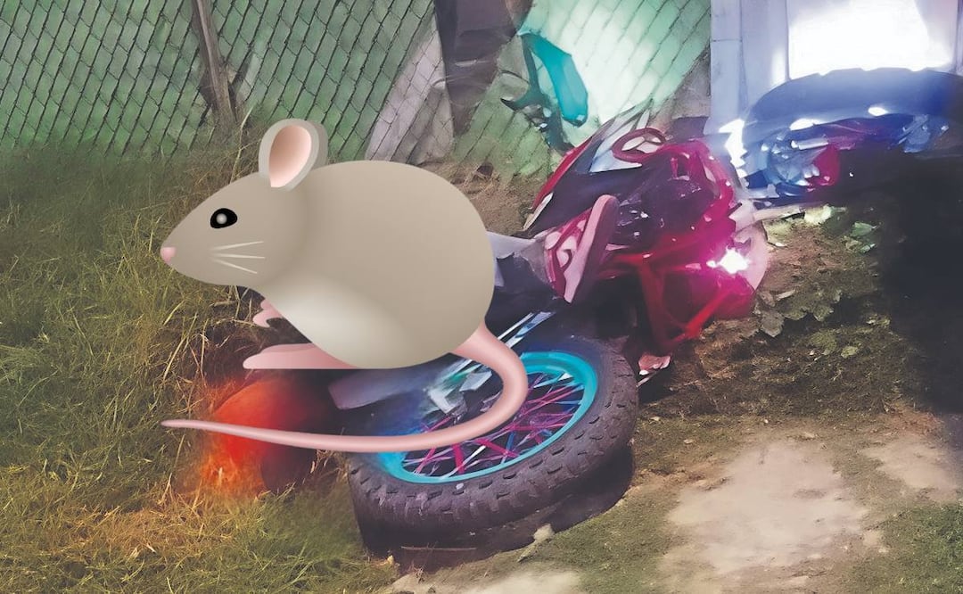 ¡Le salió caro el asalto! Biker se defiende a balazos y deja herida a la rata, en Chalco (Foto: Especial)