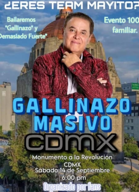 gallinazo-cdmx.png