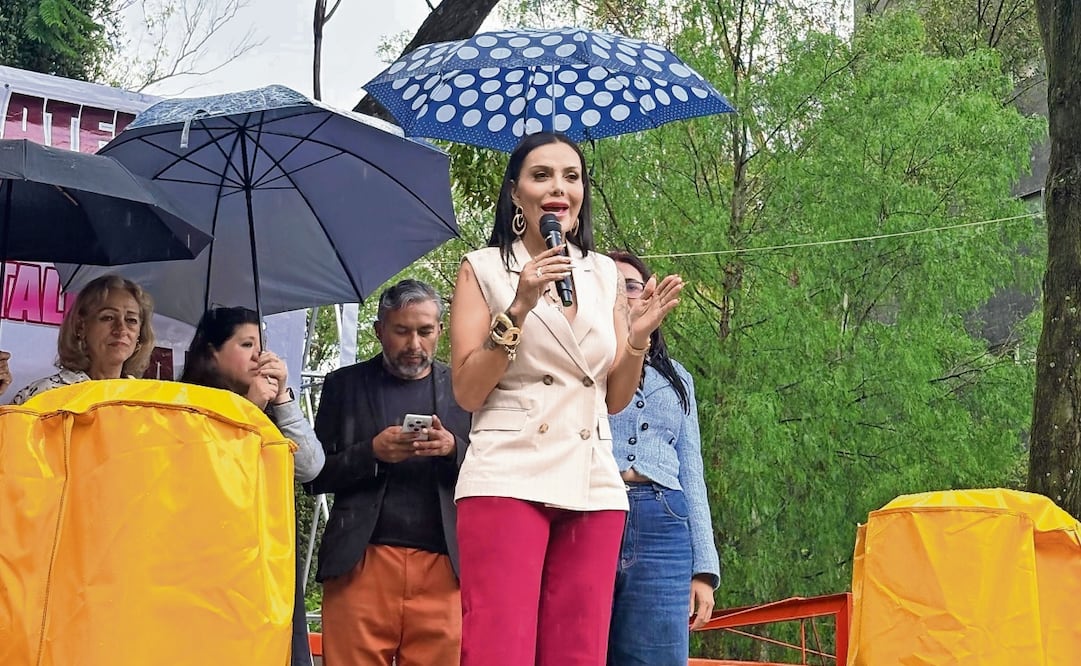 La diputada repartió 191costales, bolsas de plástico y guantes de carnanza para manipular residuos. Foto: Especial