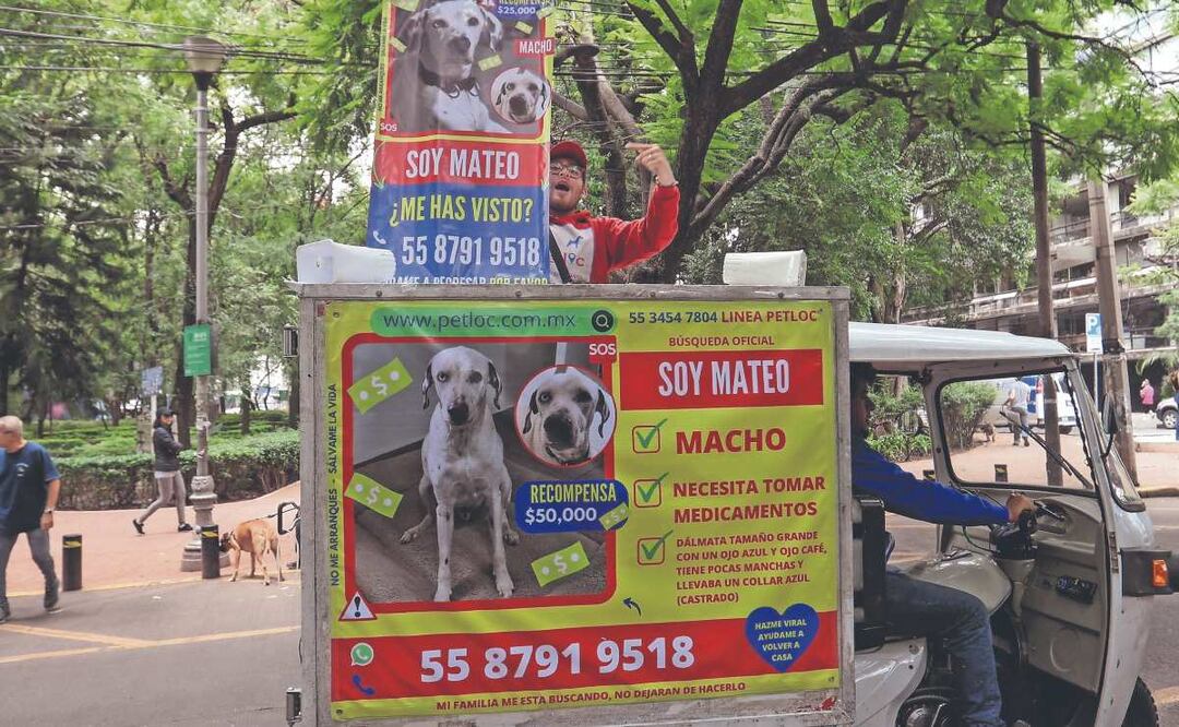 Revelan nueva forma de extorsión con mascotas extraviadas ¿cómo operan?