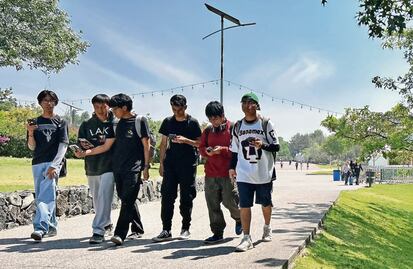 ¿El show debe continuar?: Reabren Parque Bicentenario tras muertes en el festival Axe Ceremonia