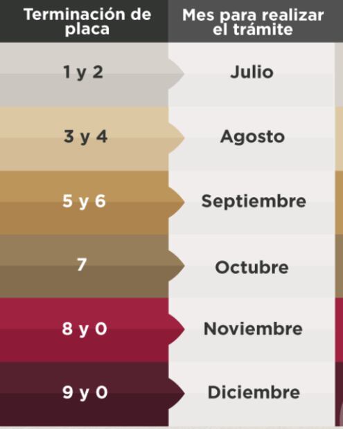 fechas-remplacamiento.png