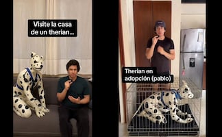 ¿Adoptar a un therian? El polémico video de Carlos Name