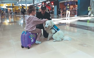¿Estrés por viajar? Conoce al Escuadrón Canino del AIFA que brinda apoyo emocional a pasajeros 