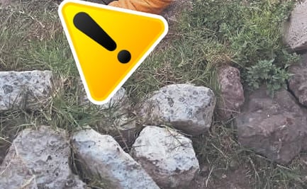 Ejecutan a joven vendedor de madera en Ecatepec, lo hallan en camino de terracería