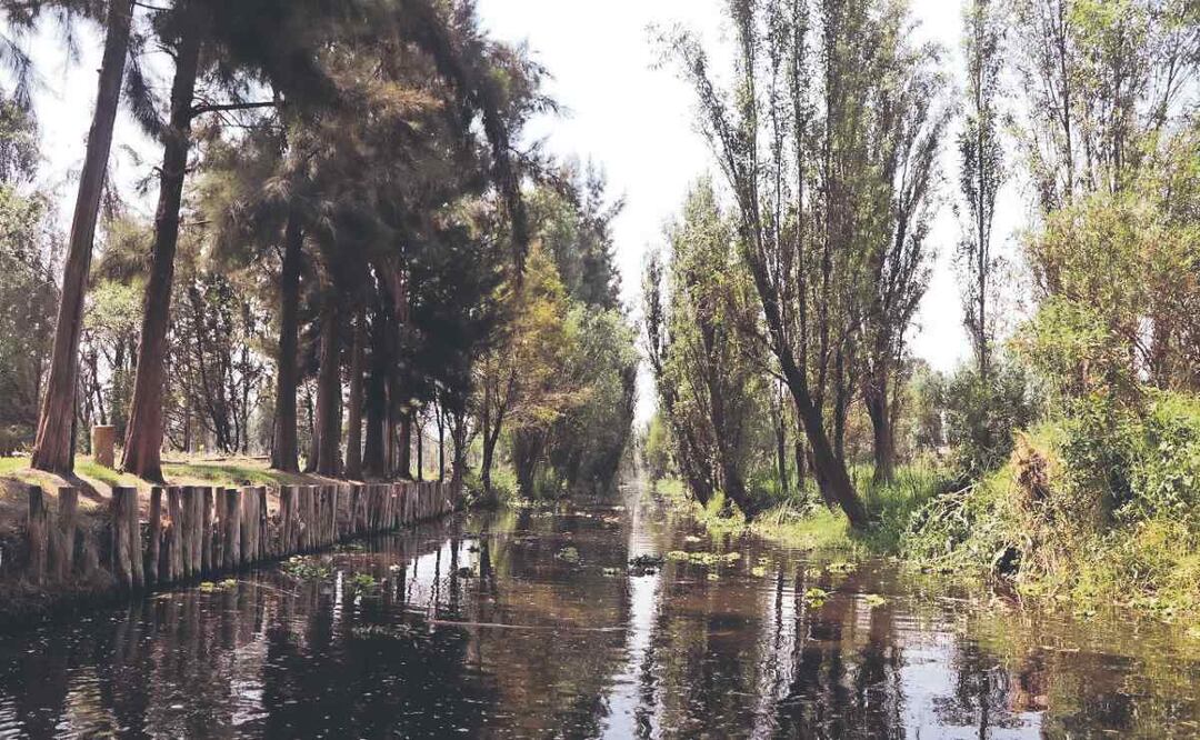 Aprende a pasear y vacacionar en la otra cara de Xochimilco