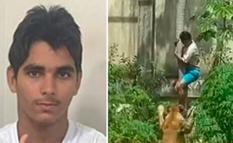 Joven con esquizofrenia irrumpe en jaula de leona y muere devorado 