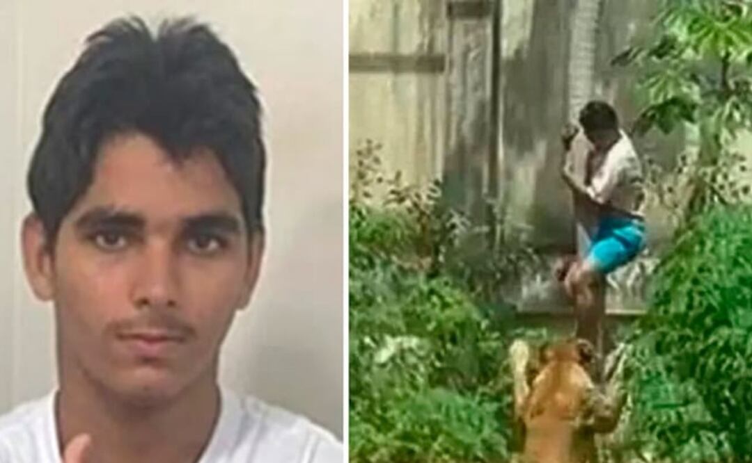 Foto: Especiales (Joven con esquizofrenia irrumpe en jaula de leona y muere devorado )