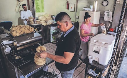 ¿Subirá el precio de la tortilla? Familias preocupadas por alza injustificada dejarían de comprarla 