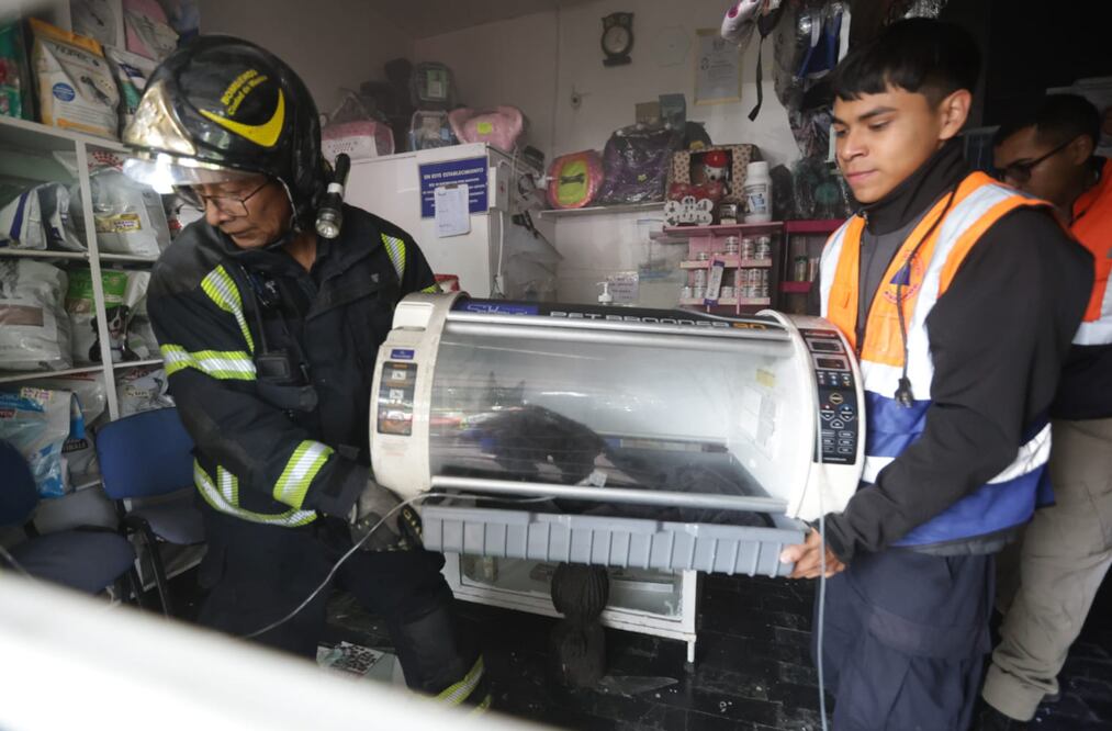 Veterinaria en llamas (Foto: Francisco Rodríguez)