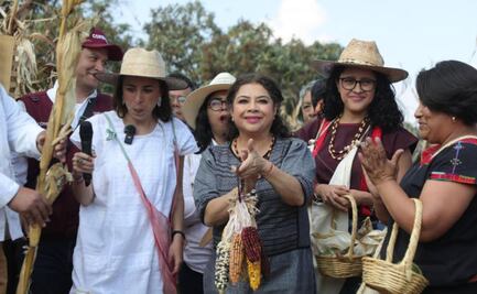 CDMX refuerza la producción local de maíz y crea tortillerías comunitarias de bajo costo