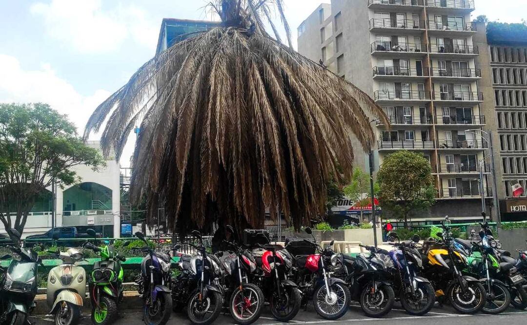Foto: Cuartoscuro (Moto-rateros: ¿cuántas motos tiene la Fiscalía CDMX vinculadas con robo?)