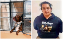 ¡Dueña irresponsable! Perro pitbull ataca a un hombre en Azcapotzalco, presenta lesiones graves