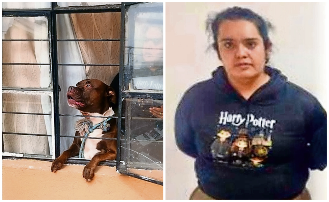 Elementos de la Secretaría de Seguridad Ciudadana acudieron al sitio y detuvieron a la dueña del can, mientras que el can fue asegurado por personal de Brigada de Vigilancia Animal. Fotos: Especiales