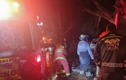 ¿Qué causó la tragedia en la México-Cuautla? Dos camioneros murieron tras chocar con un árbol